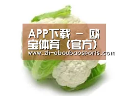 产品名称九