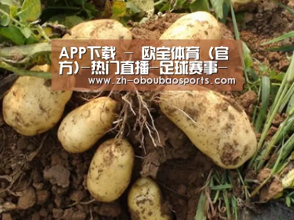 种植基地六