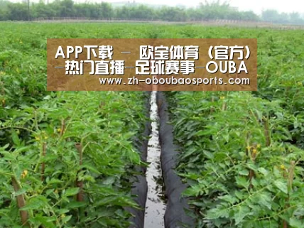 种植基地三