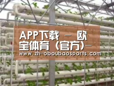 环境展示六