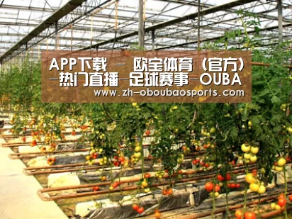 种植基地二(图1)